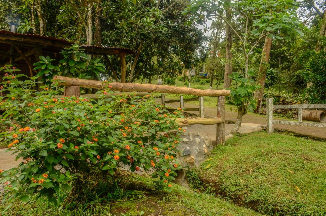 Batsu Ecolodge & Coffee Farm San Ramón Exterior foto